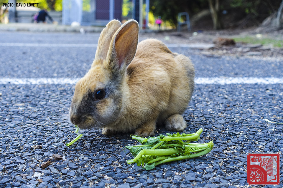 GRAND TOURING: Driving across Japan in a JNC, Day 09 | Japanese
