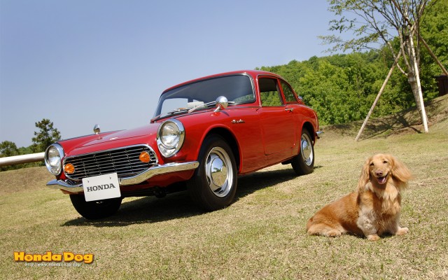 dog-vintage-s600-coupe-wp3