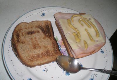 toast.JPG