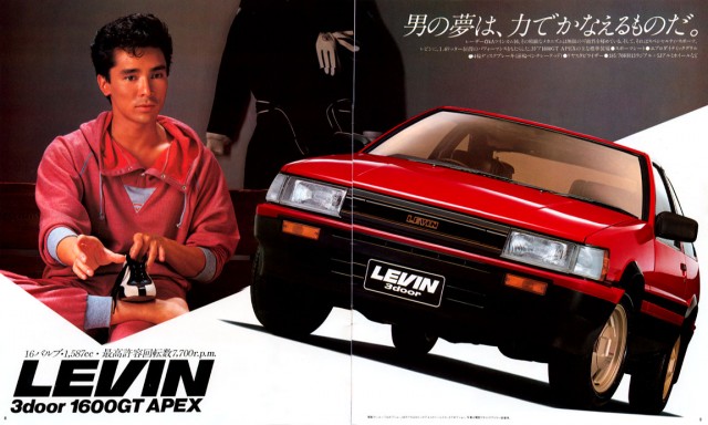 jp1983Levin_brochure05