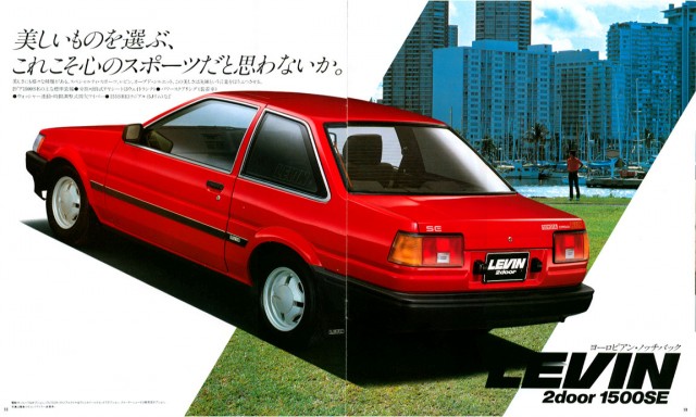 jp1983Levin_brochure10
