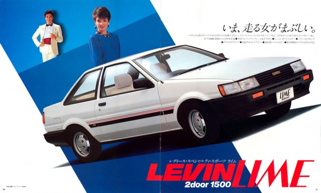 jp1983Levin_brochure11