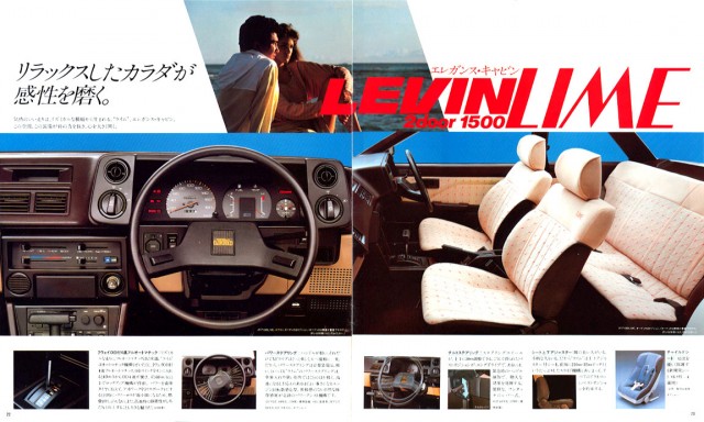 jp1983Levin_brochure12