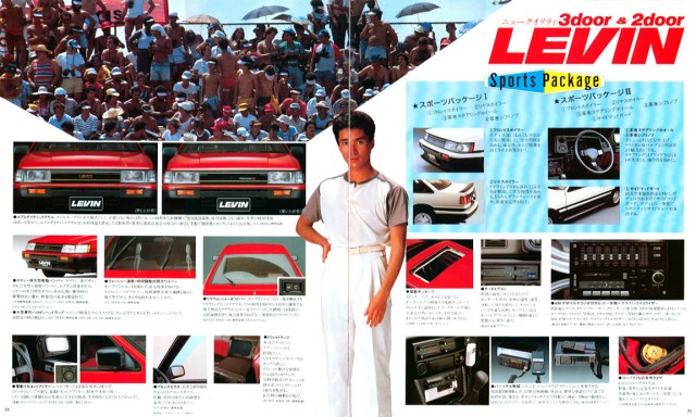 jp1983Levin_brochure13