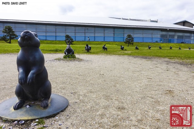 Satoshi Yabuuchi Lake Shinji Rabbits 02