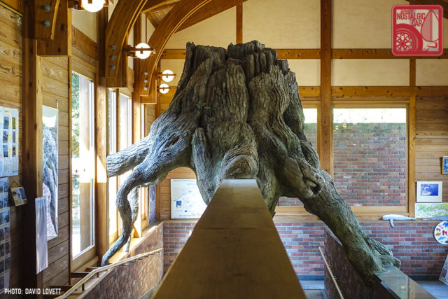 3072_Okunoshima