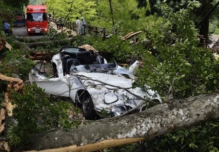 Toyota 2000GT crushed by tree