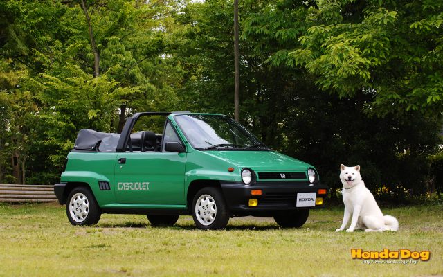 dog vintage city cabriolet wp2