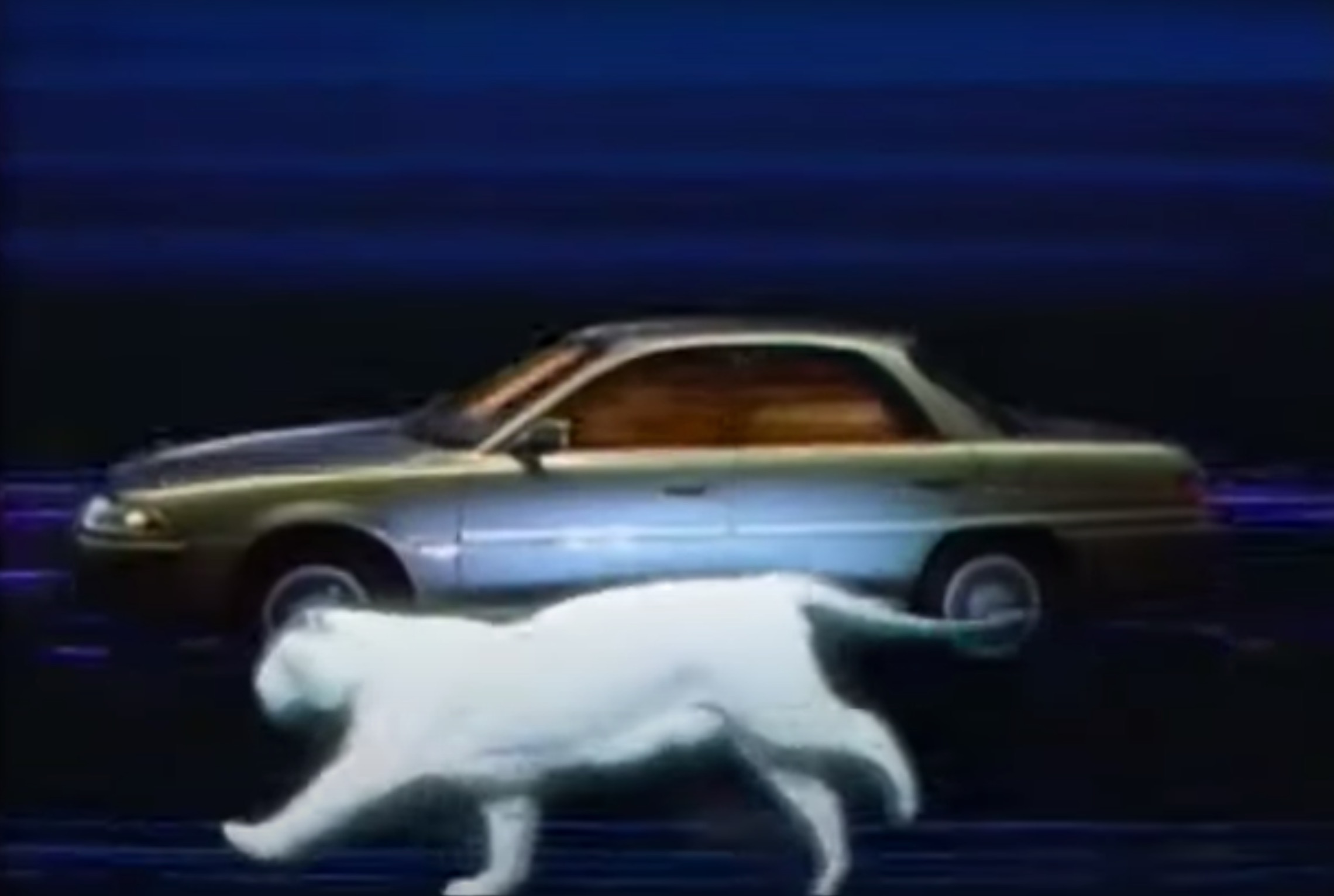 Let the Toyota Carina ED help you celebrate the Year of the Tiger